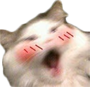 CE_Blush2 emote