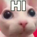 bingushi emoji