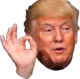 Trumpnice emote