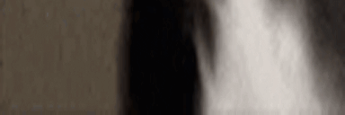 LongestJigglin6 animated emote