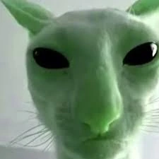 alien_cat emote