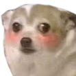 NekoKawaii emote