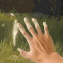 TouchSomeGrace emoji