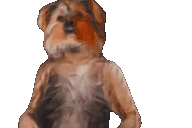 bbRave emote
