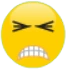 frustrated emoji
