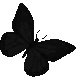 black_butterfly_2 emote