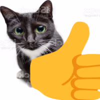 thumbsupcat emote