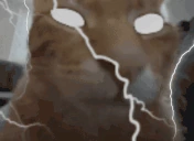 buhNOW emote