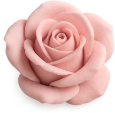 warmpinkrose emote