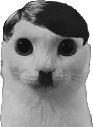 Ktler emote