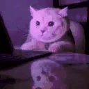 WatchingStreamButIGetScared emote