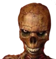 whatdidyousay emote
