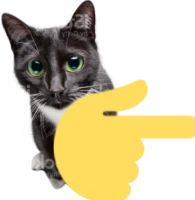 pointingrightcat emote