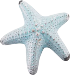 bluestarfish emoji
