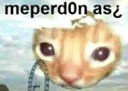 meperd0nas static emote