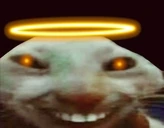 XdAngel emote
