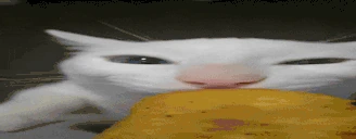 Nugget emote