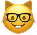 cat_nerd static emote