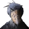 Shoebill_Bird emote