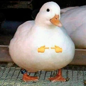 shy_duck emote