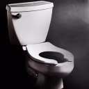 ToiletDespair emote