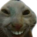 Gatojiji emote