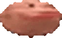pausm emote