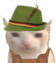 GermanCat emote