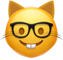 cat_nerd emote