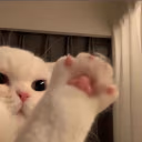 hi emote
