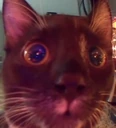 balls emote