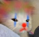 CE_ClownCat emote