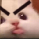 blaMad static emote