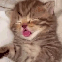 eeping emote