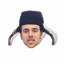 BLPFace emote