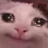 SadCat emote
