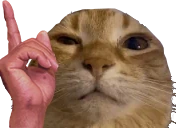 hesWuh emote