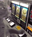 GAMBLECAT emote