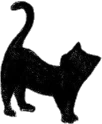 black_cat emote