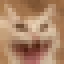 aa emote