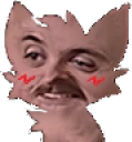 boykissEr emote