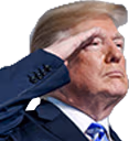 Trump_salute emote