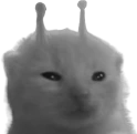desplorp emote