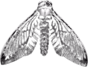 goth_skullmoth emote