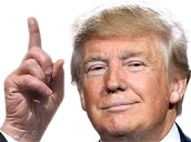 hesTrump emote