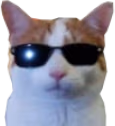 basadini emote