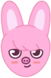 Skzoo_Dwaekki emote