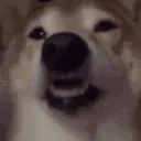 BAKED emote