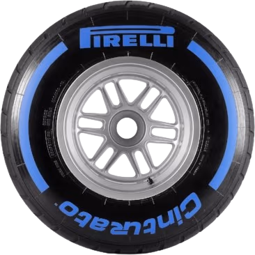 Wet_Tyre_F1 emote