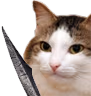kiisu_sword emote